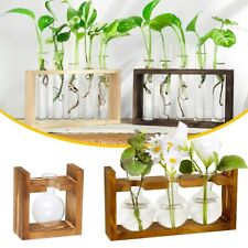 Glass Planter Plant Terrarium Flower Vase in Wood Stand for Propagation stations