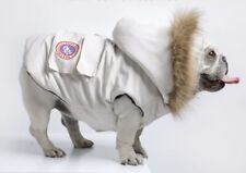 Dog Jacket Designer Dog Coat