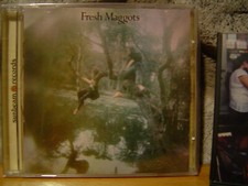 FRESH MAGGOTS Hatched