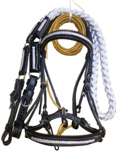 Premium Bridle set