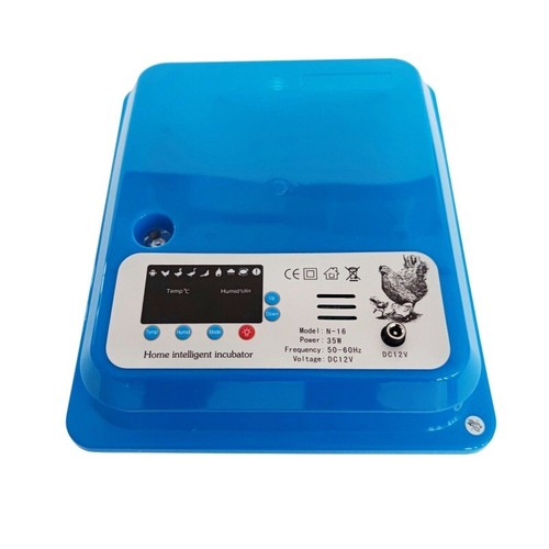Bird egg incubator poultry - egg,