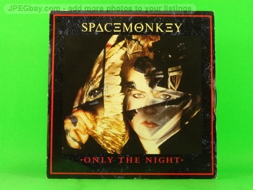 Space monkey only the - space,