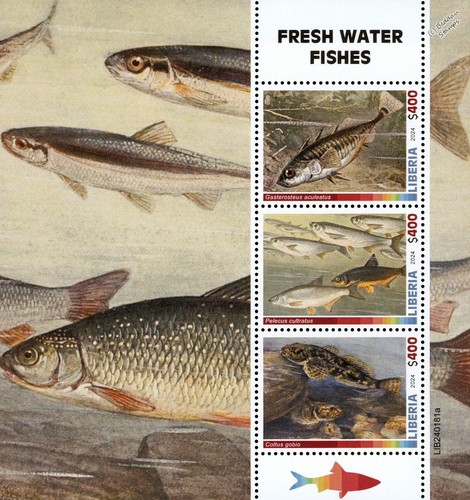 Freshwater fish fresh water - fish,