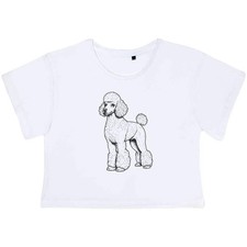 'Standard Poodle' Women's
