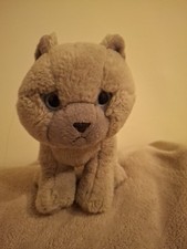 Living Nature Cat Grey British