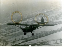 TAYLORCRAFT AUSTER - Original