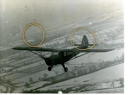 Taylorcraft auster original - -,
