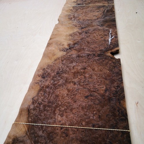 Burr burl walnut - ,