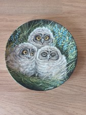 Wedgwood Collectors Plate