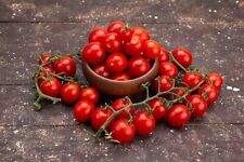 Supersweet Tomato Sugardrop Cherry Tomato 25 seeds & 5 labels and pencil