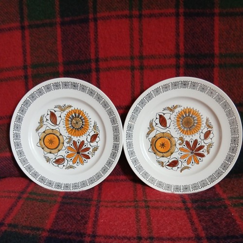 Vintage large dinner - ,