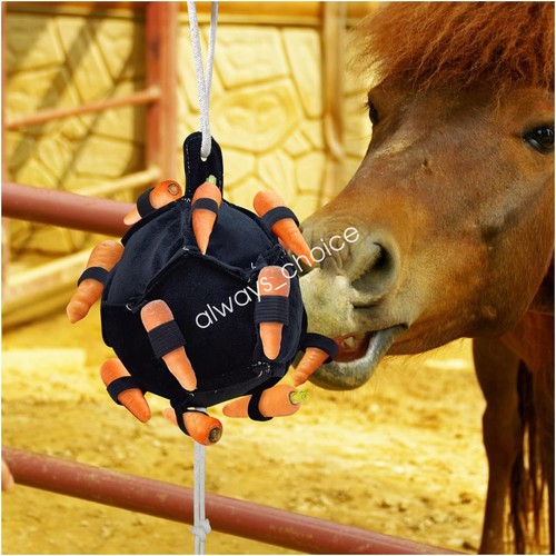 Horse treat ball carrot feeder - treat,