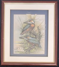 Rare Ruane Manning ~ Vintage Bird 3D Decoupage Picture Still Life Framed