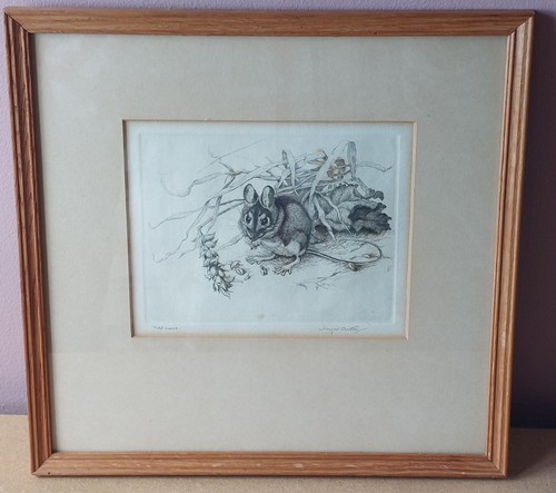 Winifred austen - austen, (1876-1964)