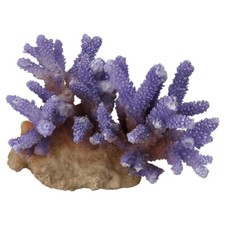 Aqua Della Aquarium Decoration