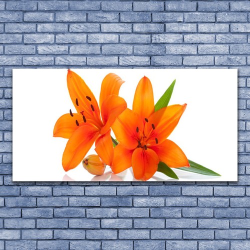 Glass pictures wall art - , print