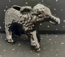 Vintage Black Sheep/Lamb