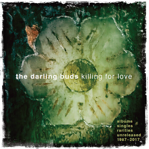 The darling buds killing for - :,