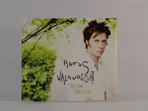Rufus wainwright the one - the, you