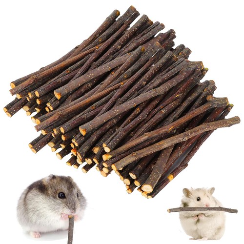 200g apple sticks molar toys - molar,