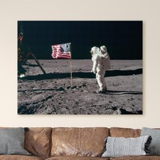 Buzz aldrin salutes the usa - buzz,
