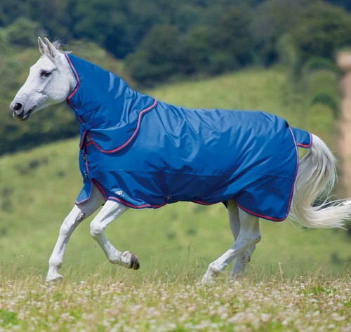 50g lightweight turnout horse - turnout,