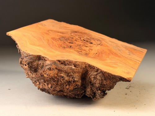 Cap burr elm live edge - live, resin