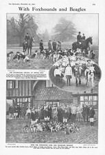 HUNTING Out with the Worcester