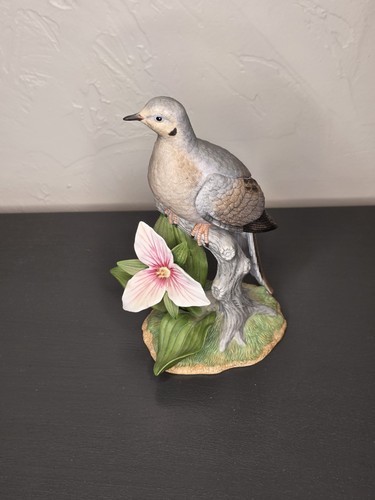 Mourning dove fine porcelain - mourning,