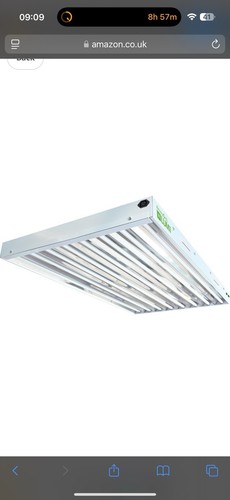 Lumii 4ft lamp t5 - 8,