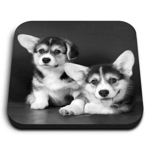 Square mdf magnets cute - mdf,