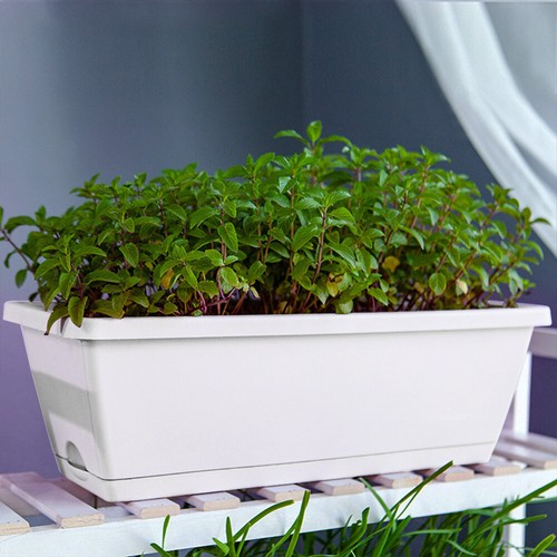 5piece trough plant pot - trough,
