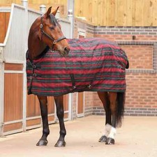 Shires Tempest Plus 200G