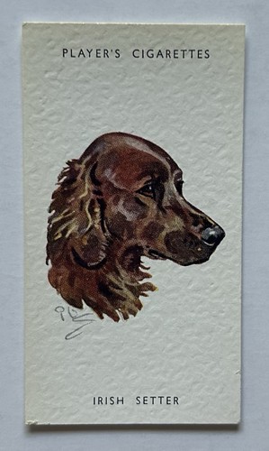 Player dogs heads irish - dogs’,