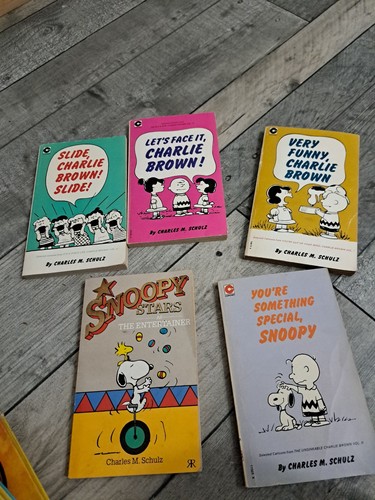 5vintage charlie brown and - brown,