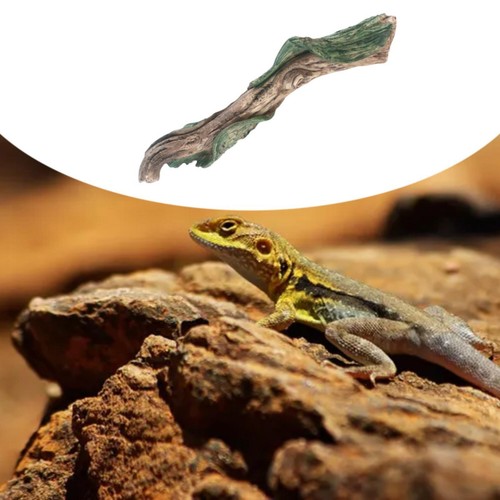 Reptile corner climbing branch - reptile,