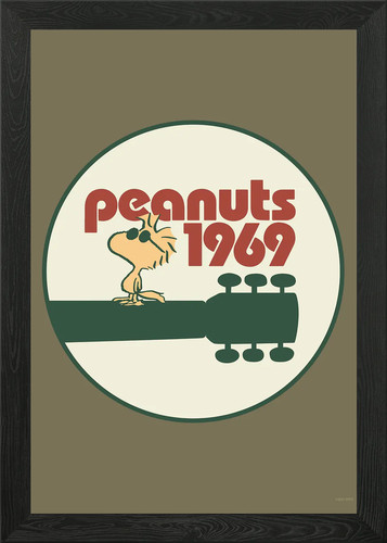 Woodstock peanuts 1969 framed - peanuts,