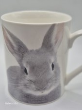 Botanical Discovery Fine China