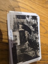 Senior Service Bridges of