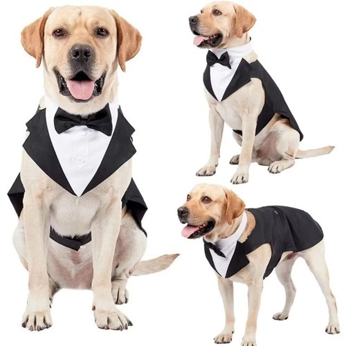 Pet suit tuxedo - pet,