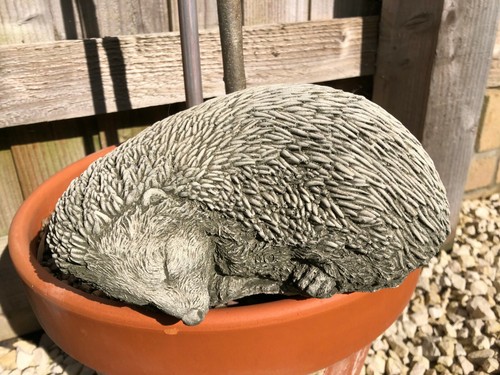 Sleeping hedgehog statue - sleeping, |