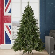 Green Christmas Tree Pine
