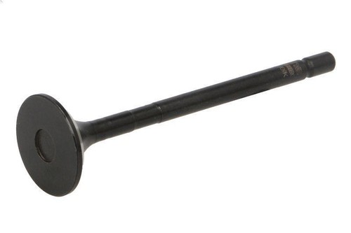 Exhaust valve 148096001000 - valve, ne