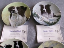 DECORATIVE BORDER COLLIE