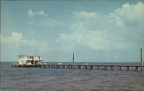 Anna maria florida fishing - anna,