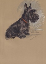1946 SCOTTIE TERRIER DOG Print