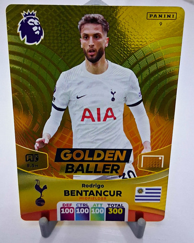 Panini adrenalyn premier - panini,