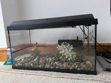 Juwel 60 Litre Freshwater Aquarium with Filter and Light 60x30x40cm.
