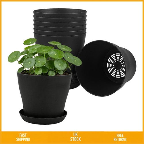 Durable modern plastic flower - plastic,