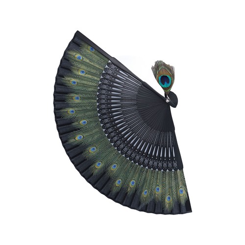 Folding fan black - black, bones